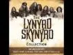 T o M Time of Metal #14 Lynyrd Skynyrd Collector's Edition